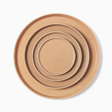 Load image into Gallery viewer, Flat Plate / OF Clear