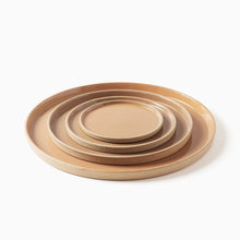 Load image into Gallery viewer, Flat Plate / OF Clear