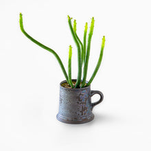 Load image into Gallery viewer, Euphorbia oncoclada / A Mug M