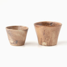 Load image into Gallery viewer, Shuo Iwakiri - カップ大