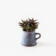 Load image into Gallery viewer, Haworthia tessellata / A Mug M
